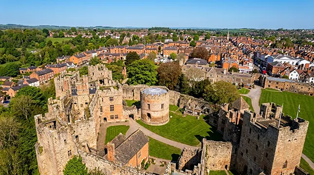 3. Ludlow